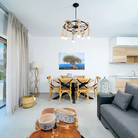 Videre Luxury Apartment